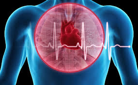 Three vessel angioplasty