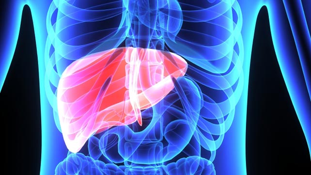 Liver Transplant