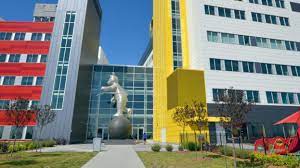 Laparoscopic Adnexa Removal