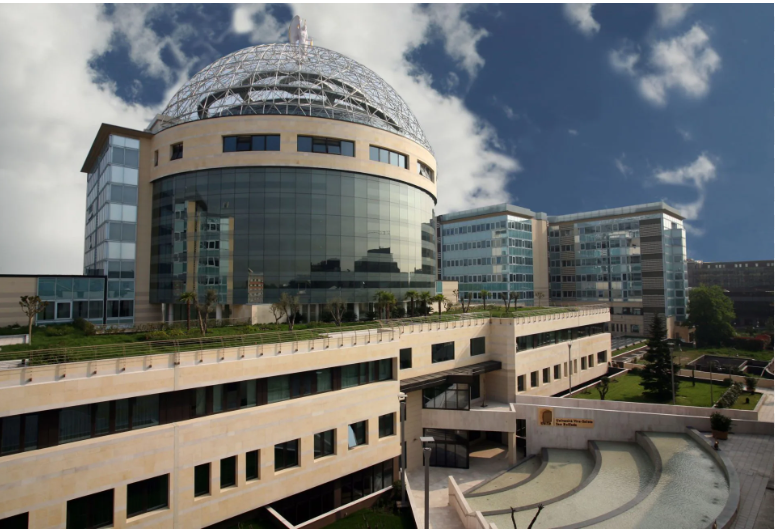 IRCCS San Raffaele Hospital, Milan, Italy