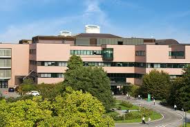 IRCCS Humanitas research hospital Milan, Italy