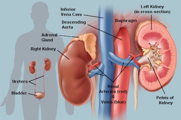RIRS Unilateral Procedure