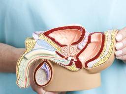 Varicocelectomy Bilateral for Male Infertility