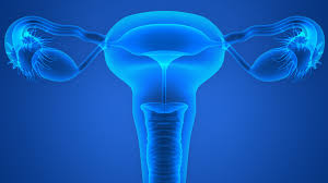 Laparoscopic Adnexa Removal