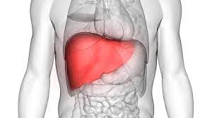 Liver Transplant