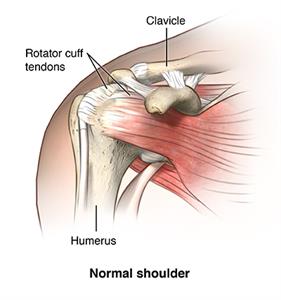 Shoulder Repair Surgery